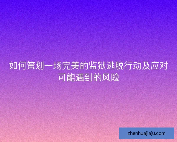 如何策划一场完美的监狱逃脱行动及应对可能遇到的风险