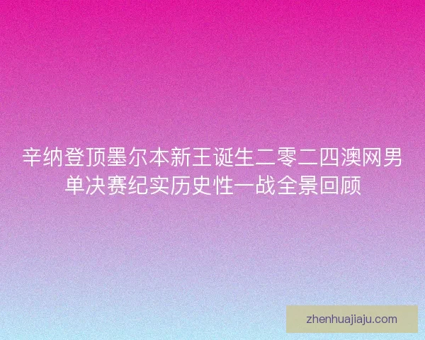辛纳登顶墨尔本新王诞生二零二四澳网男单决赛纪实历史性一战全景回顾