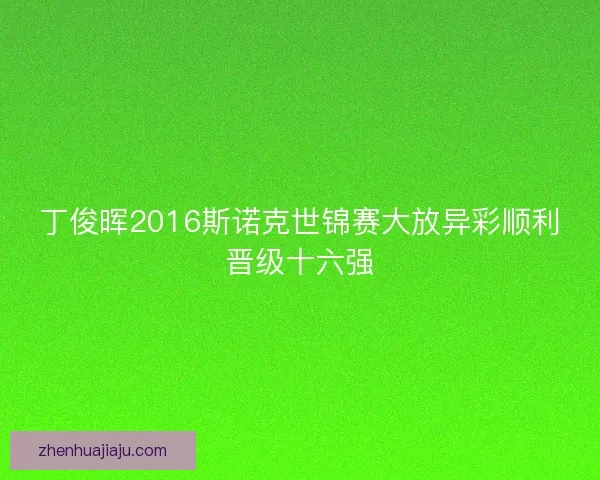 丁俊晖2016斯诺克世锦赛大放异彩顺利晋级十六强